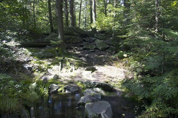 Rock hop on a stones set on the trail.