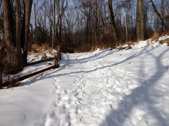 Trail with trampled snow