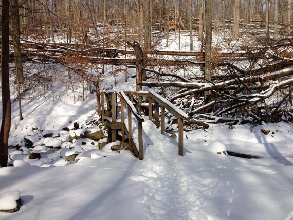 Snow on a wooden footbridge