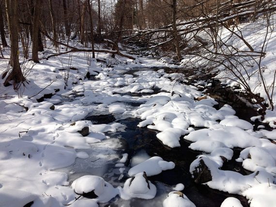 Frozen Merrill Creek