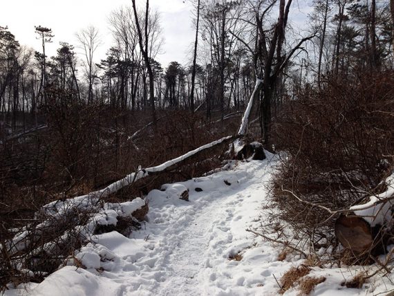 Snow on trail damaged from storms