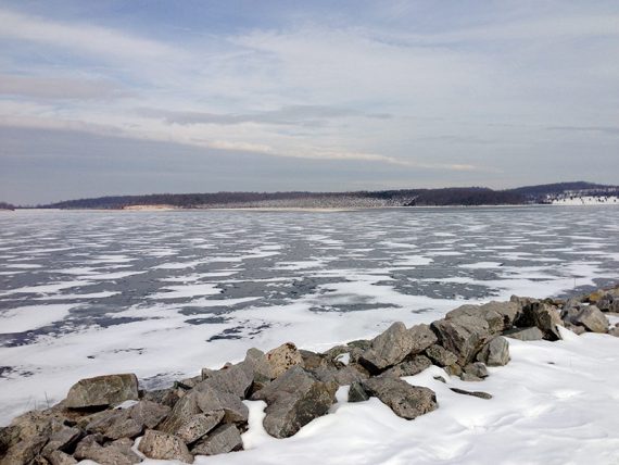 Snow geese on the reservoir in the distance