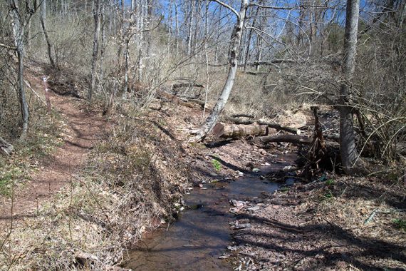 Path near a stream on BLUE DOT.