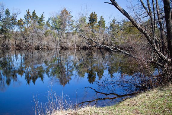 Pond in the north park of the park with a couple benches.