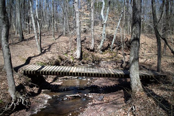 Crossing Steele Run on a footbridge.