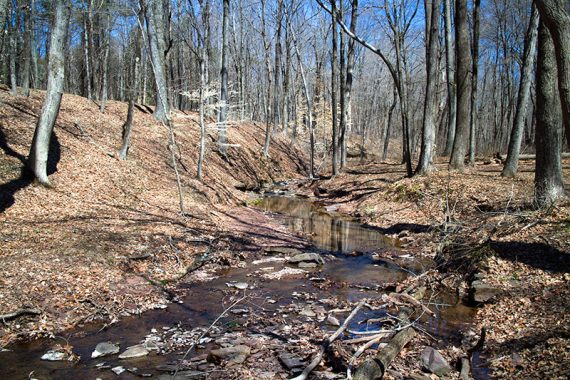 Steele Run with little water in it.