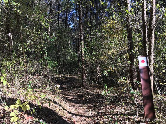 RED DOT marker on a trail post.