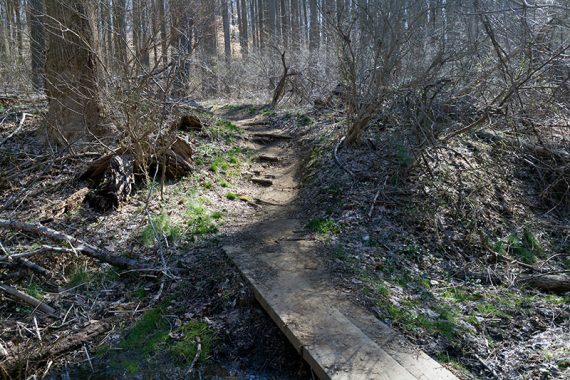 Plank bridge along a trail.