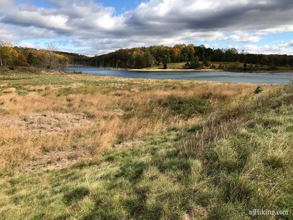 Grassy shore next to a reservoir