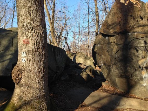 Devil's Half Acre Boulders