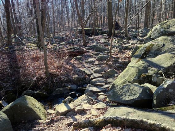 Roaring Brook Trail