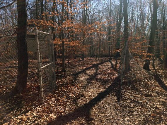 The fence right before Marker 8