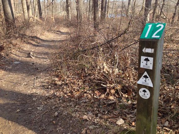 Numbered trail markers throughout the park.