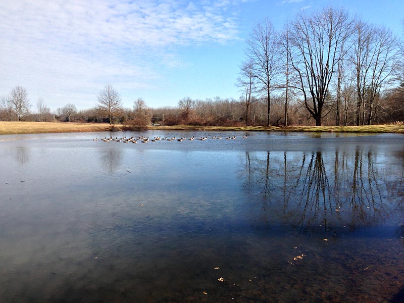 Sourland Mountain Preserve in Winter | njHiking.com