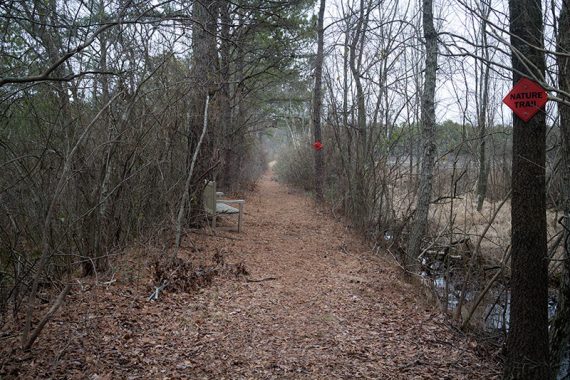 Start of "Nature Trail"