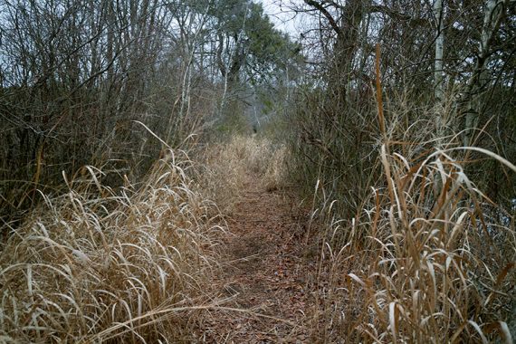 Nature Trail