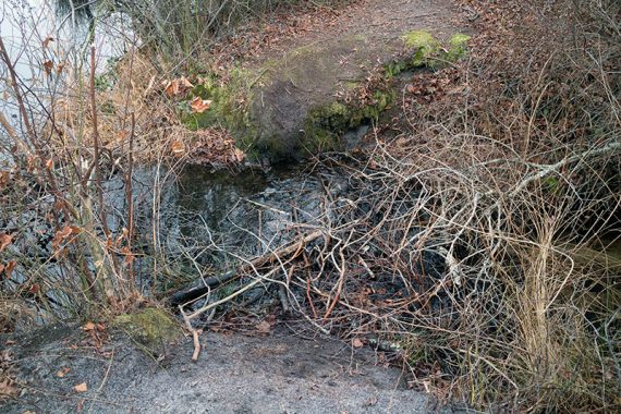 Second water crossing on the Nature Trail