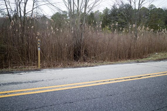 Cross Kettle Run and pick up the Black trail