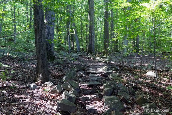 Rock steps along the Mill Pond trail.