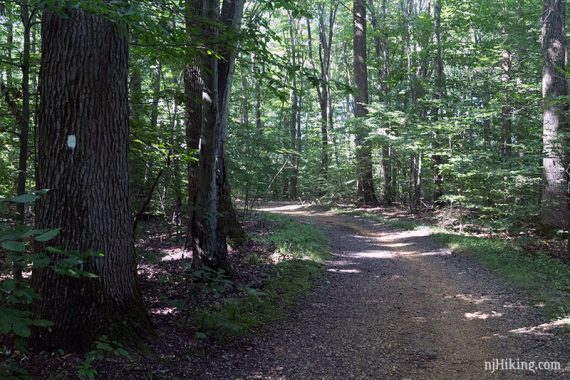 Wide, flat Farm Road trail.