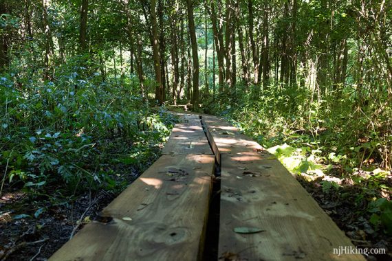 Plank boardwalk seen from down low.