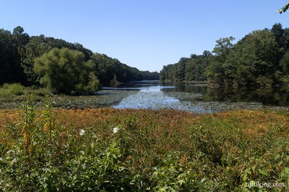 Davidson's Mill Pond.