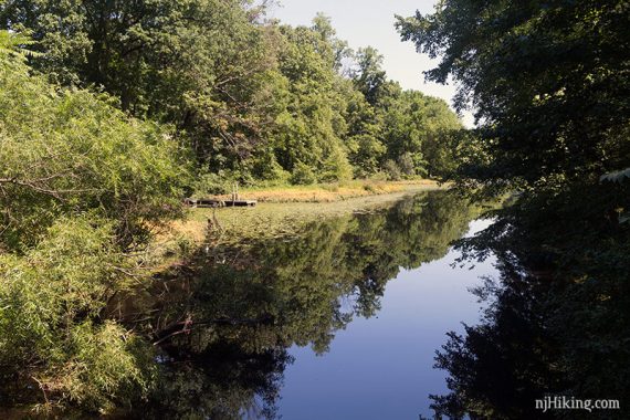 View of Farrington Lake