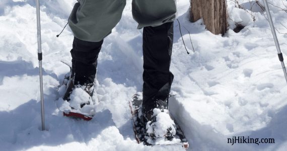 Hiker's feet with snowshoes and leg gaiter on snowy trail.