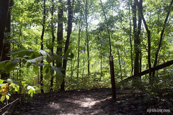 White marker on a brown trail post.