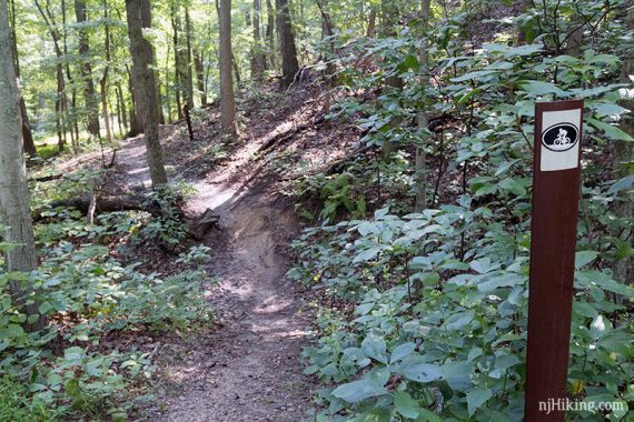 WHITE marker next to a narrow dirt trail.