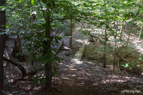 Footbridge on the white trail.