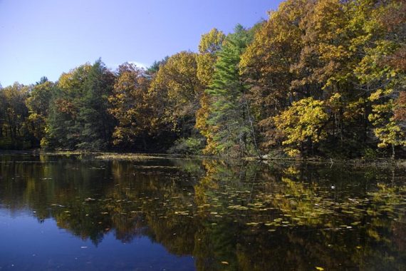 Lake Lenape.