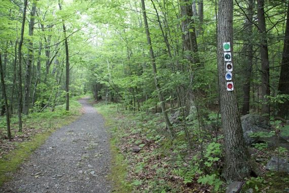 All trails start on one path.