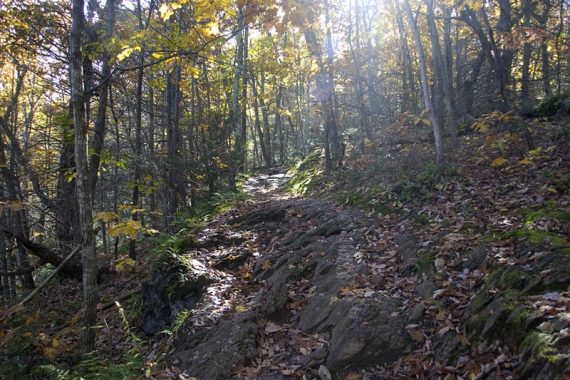 Appalachian Trail.
