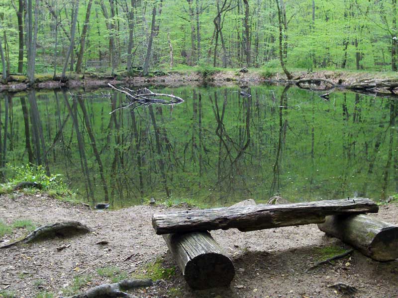 Jockey Hollow Grand Loop and Mt Kemble Loop trails