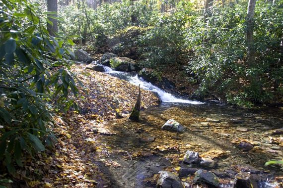 Water on the way up Mt. Minsi.