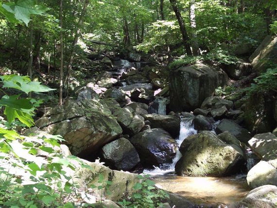 Musconetcong Gorge Preserve waterfall.