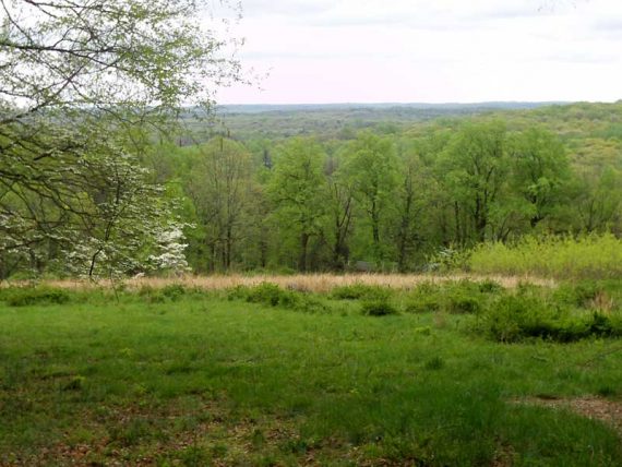 Mt Kemble Loop Trail