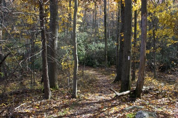 The Appalachian Trail.