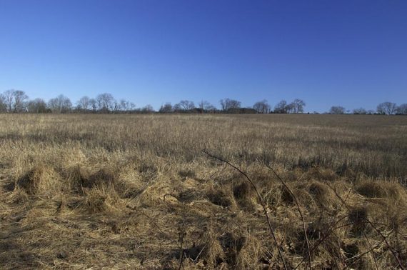 Trails pass several fields along the way