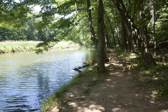 Trail along East Branch Reservoir