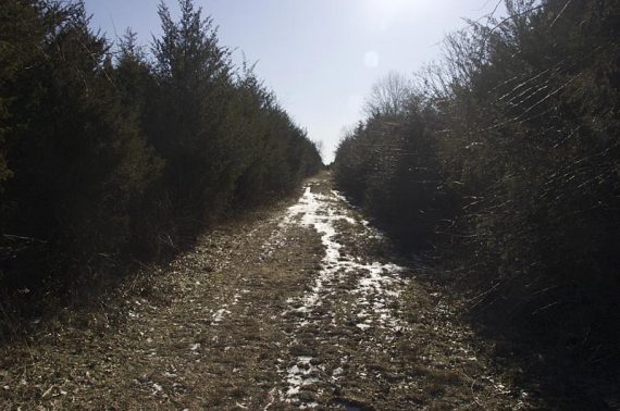 Back on the newer red trail, that leads to Jacques Lane.