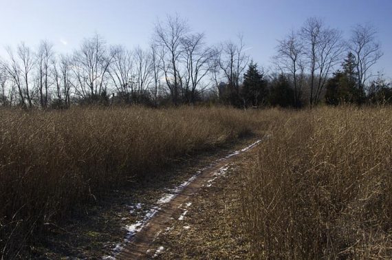 Field on the white trail, with farm silos in the distance