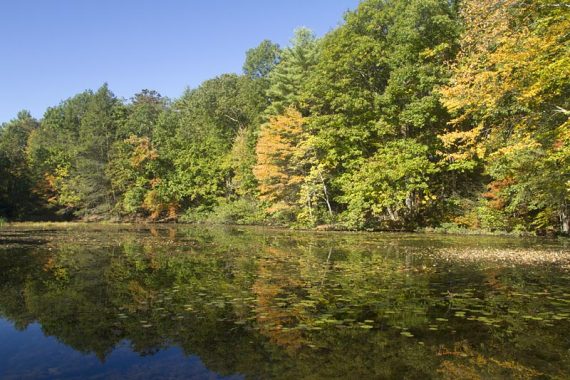 Lake Lenape on the way to Mt. Minsi