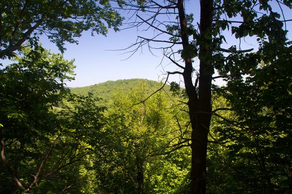 Limited view on Ridge/Highlands trail