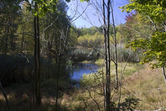 Lake Lettini, off of the Mt. Minsi Fire Road