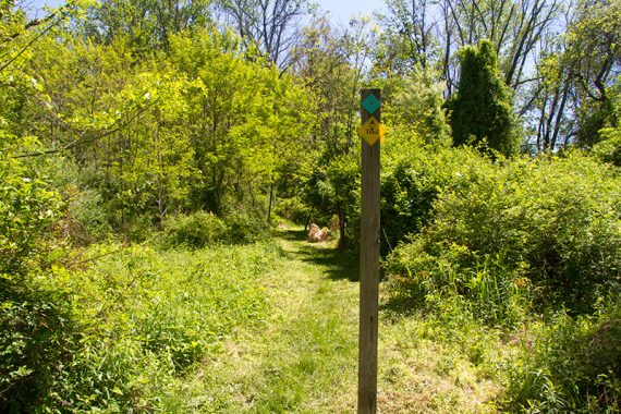 Ridge/Highlands, past the Pine Run crossing