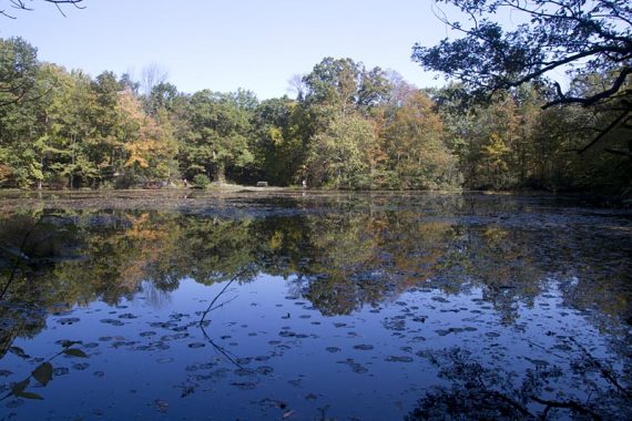 Other end of Lake Lenape