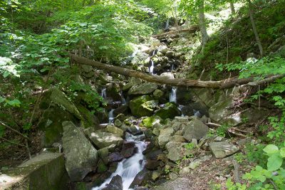 Waterfall where the WHITE trail meets the abandoned rail line