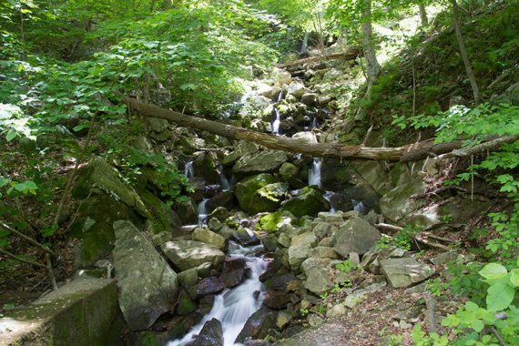 Waterfall where the WHITE trail meets the abandoned rail line.